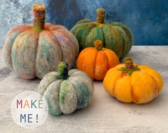 Pumpkins beginners needle felting kit with extra supplies / easy photo instructions