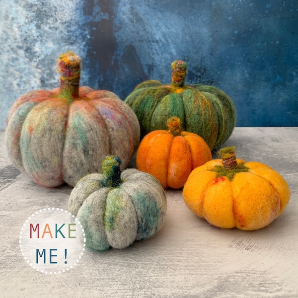 Pumpkins beginners needle felting kit with extra supplies / easy photo instructions