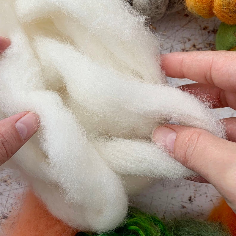 May include: A close-up of a clump of white wool roving. The wool is soft and fluffy, and it is being held in the hands of a person.