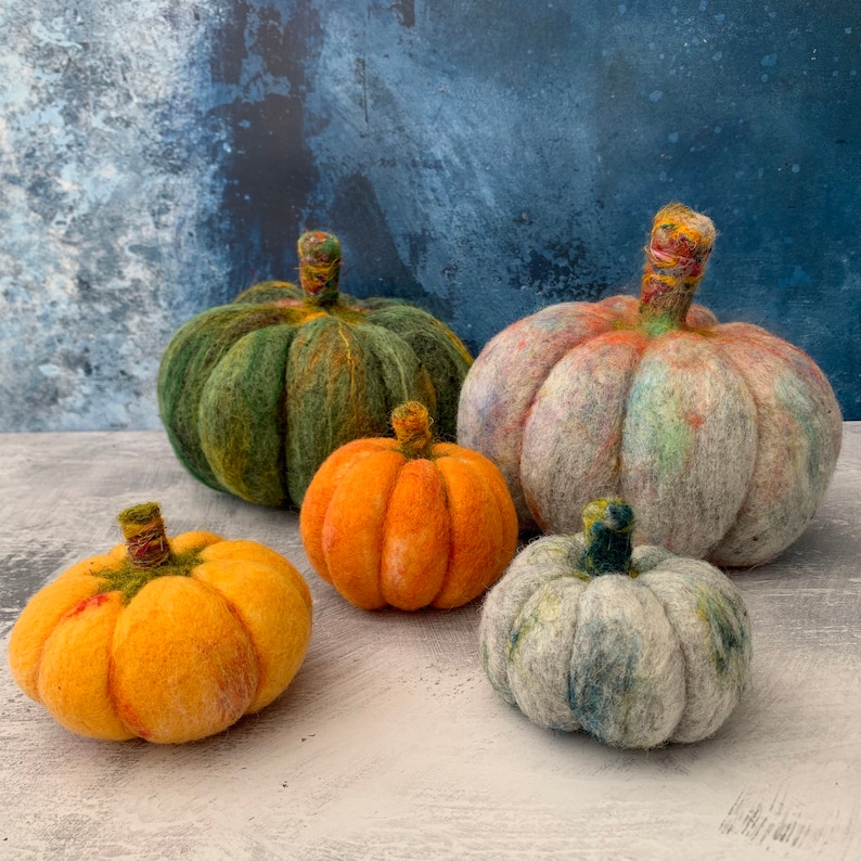 Pumpkins beginners needle felting kit with extra supplies / easy photo instructions image 9