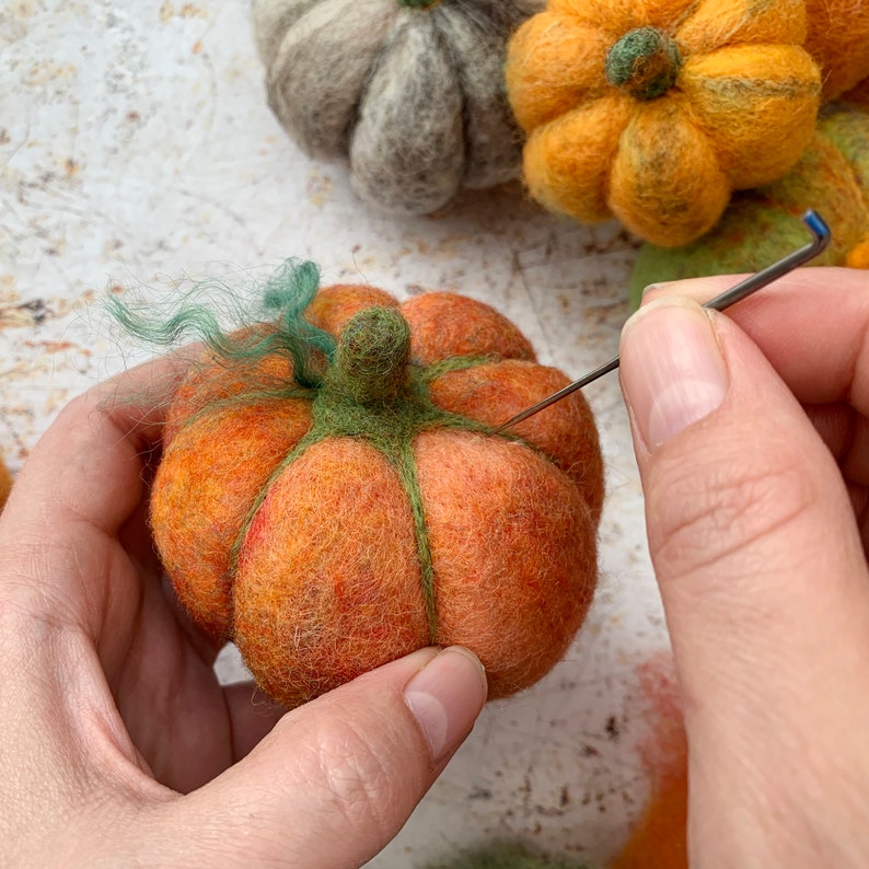 Pumpkins beginners needle felting kit with extra supplies / easy photo instructions image 3