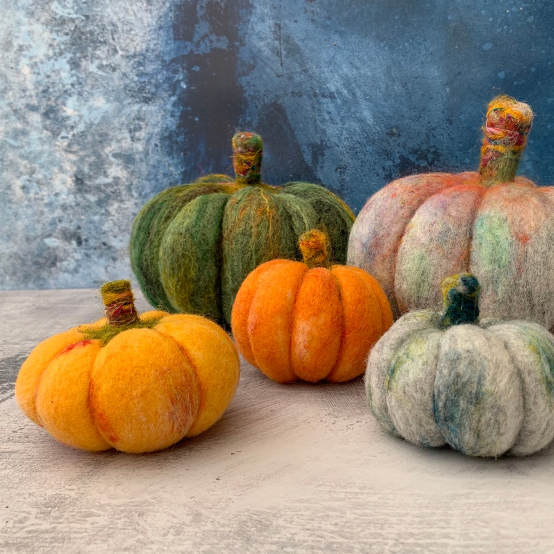 Pumpkins beginners needle felting kit with extra supplies / easy photo instructions image 7