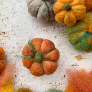 Pumpkins beginners needle felting kit with extra supplies / easy photo instructions image 8