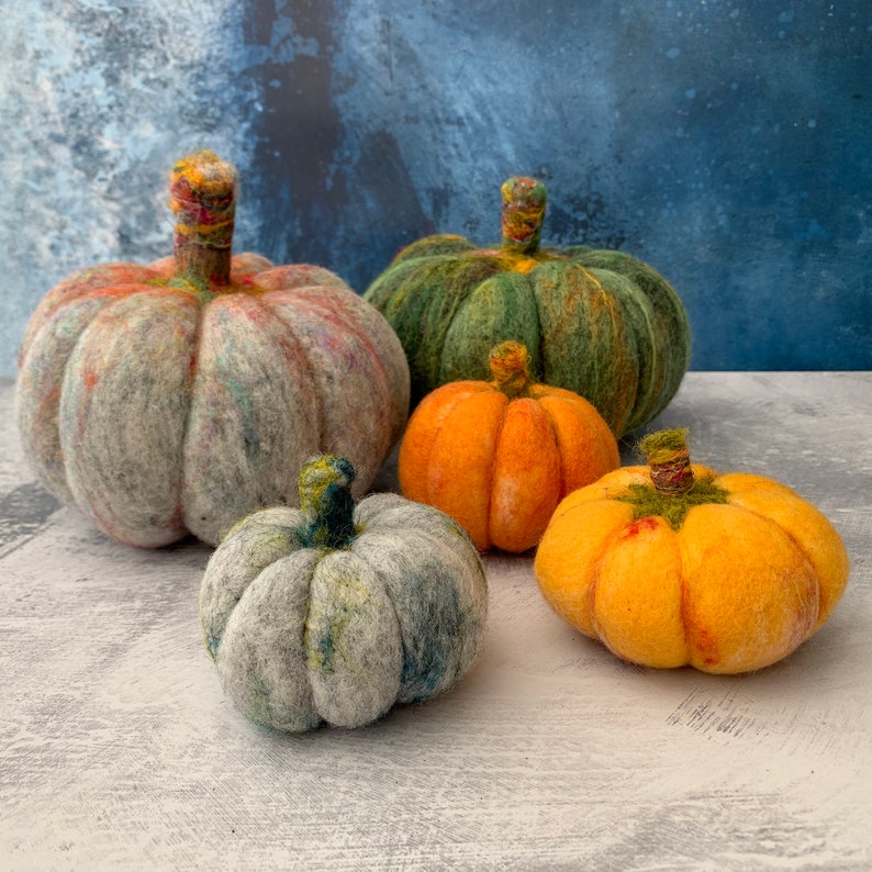Pumpkins beginners needle felting kit with extra supplies / easy photo instructions image 5