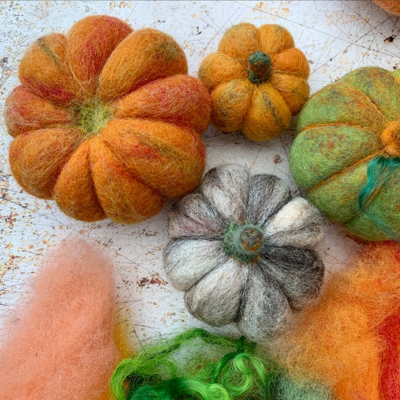 Pumpkins beginners needle felting kit with extra supplies / easy photo instructions image 6
