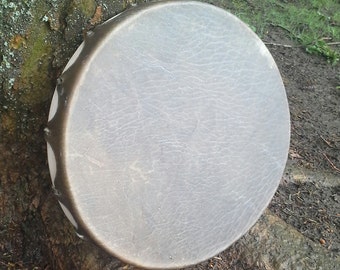 May include: A circular drum with a grey, textured surface. The drum is positioned against a tree trunk. The drum's rim is a darker shade of grey.