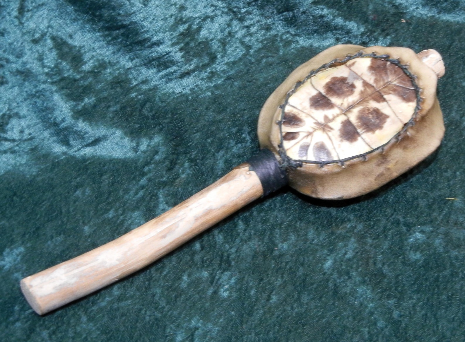 Red Ear Turtle Rattle With Deer Rawhide and Choice of Sinew Color ...