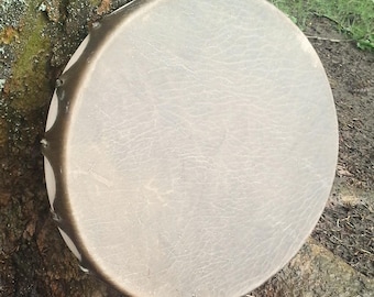 May include: A round, light brown leather drum with a dark brown rim and metal accents. The drum is resting against a tree trunk.