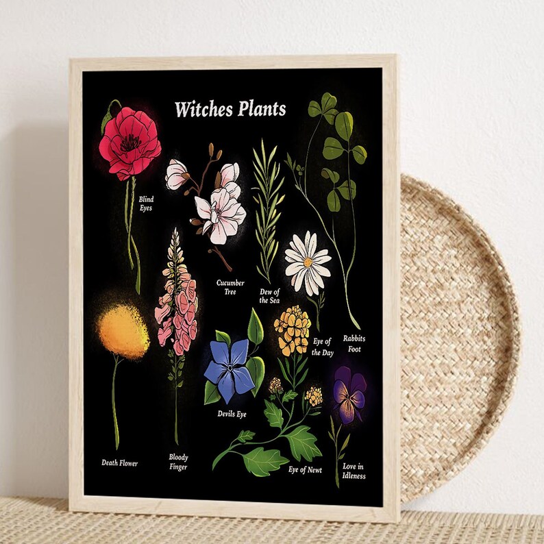 Herbology Poster Plant Magic Poster Witch Plant Poster Home Etsy