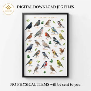 以下が含まれることがあります： 24種類の一般的なイギリスの庭の鳥のイラストが描かれた印刷可能なチャート。各鳥には、ロビン、シジュウカラ、ブルータイ、カササギなど、名前が付けられています。チャートは、緑の葉と黒いフレームのある白い背景になっています。