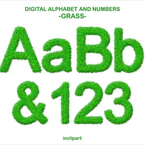 May include: Digital alphabet and numbers made of green grass. The letters A, a, B, b, and the numbers 1, 2, 3, and the ampersand symbol are shown.