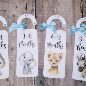May include: Four white door hangers with blue ribbon bows and animal illustrations. Each hanger has a number and month printed on it: 0-3 months, 3-6 months, 6-9 months, and 9-12 months.