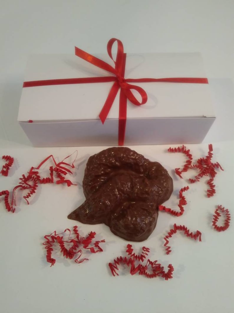 Milk Chocolate Poop Gag Gift Etsy
