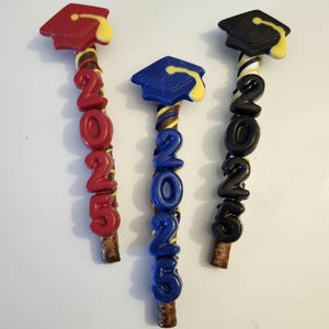 Graduation cap 2025 chocolate covered pretzel rods(12)