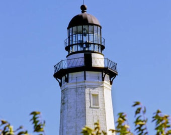 May include: A tall, white lighthouse with a dark brown dome and a glass lantern room. The lighthouse has a black railing and is set against a clear blue sky. Green foliage frames the bottom of the image.
