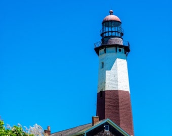 May include: A tall lighthouse with a red and white striped tower stands against a clear blue sky. A small building with a dark roof sits at the base of the lighthouse, surrounded by green foliage and pink flowers. The image is signed "Jimmy Rea".