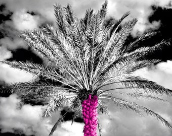 Pink palm tree photograph, pink wall decor, beach house art, splash of color, bathroom wall art, girls room photo, pink tropical photography