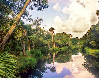 Kiawah Island Pond photos South Carolina wall decor pictures office art landscape picture coastal southern lowland beach house photograph