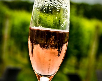 Wine Glass Photograph: Vineyard Wall Art