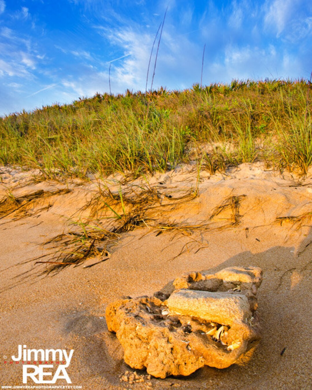 Cinnamon Beach Palm Coast Florida Photograph Beach House Etsy