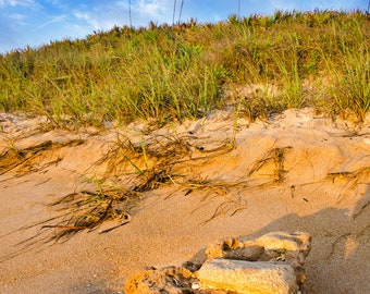 Cinnamon Beach Palm Coast Florida Photograph, Beach House Decor, Home Decor, Office Art, Sand, Dunes, Rock, wall decor