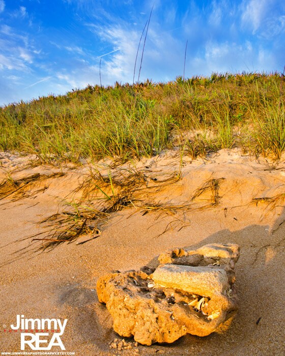 Cinnamon Beach Palm Coast Florida Photograph Beach House Etsy