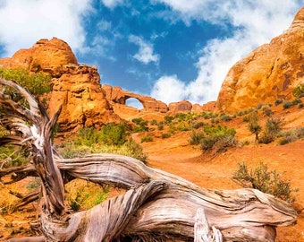 Photograph of Skyline Arch in Arches National Park Utah in black and white and color print or canvas wall decor.