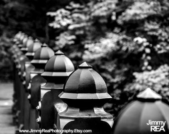 Central park photography, New York City pictures, , black and white cityscape photo, oak bridge, office art, home decor, NYC