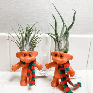 Troll Planter with Live Air Plant - Teacher Gift - Stocking Stuffer - White Elephant Gift
