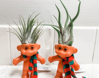 Troll Planter with Live Air Plant - Teacher Gift - Stocking Stuffer - White Elephant Gift