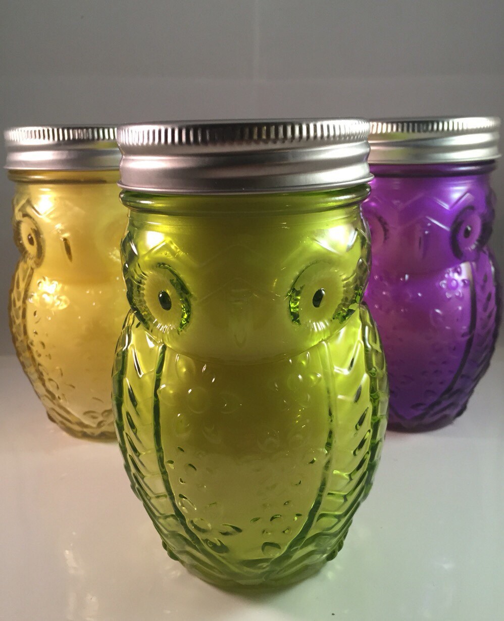 Owl Mason Jar Candle Owl Jar Candle Wax Candle Soy Etsy