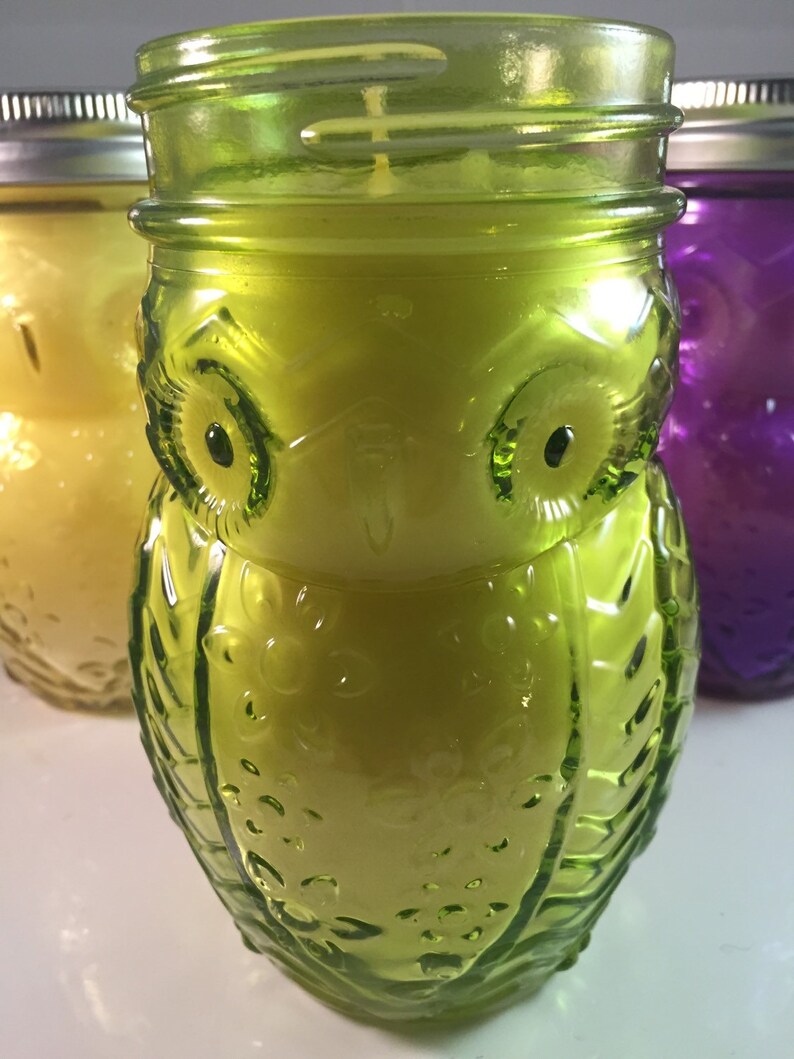 Owl Mason Jar Candle Owl Jar Candle Wax Candle Soy Etsy
