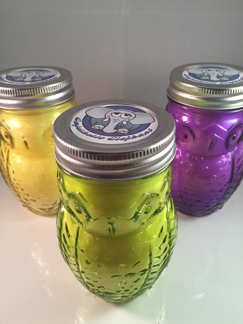 Owl Mason Jar Candle Owl Jar Candle Wax Candle Soy Etsy