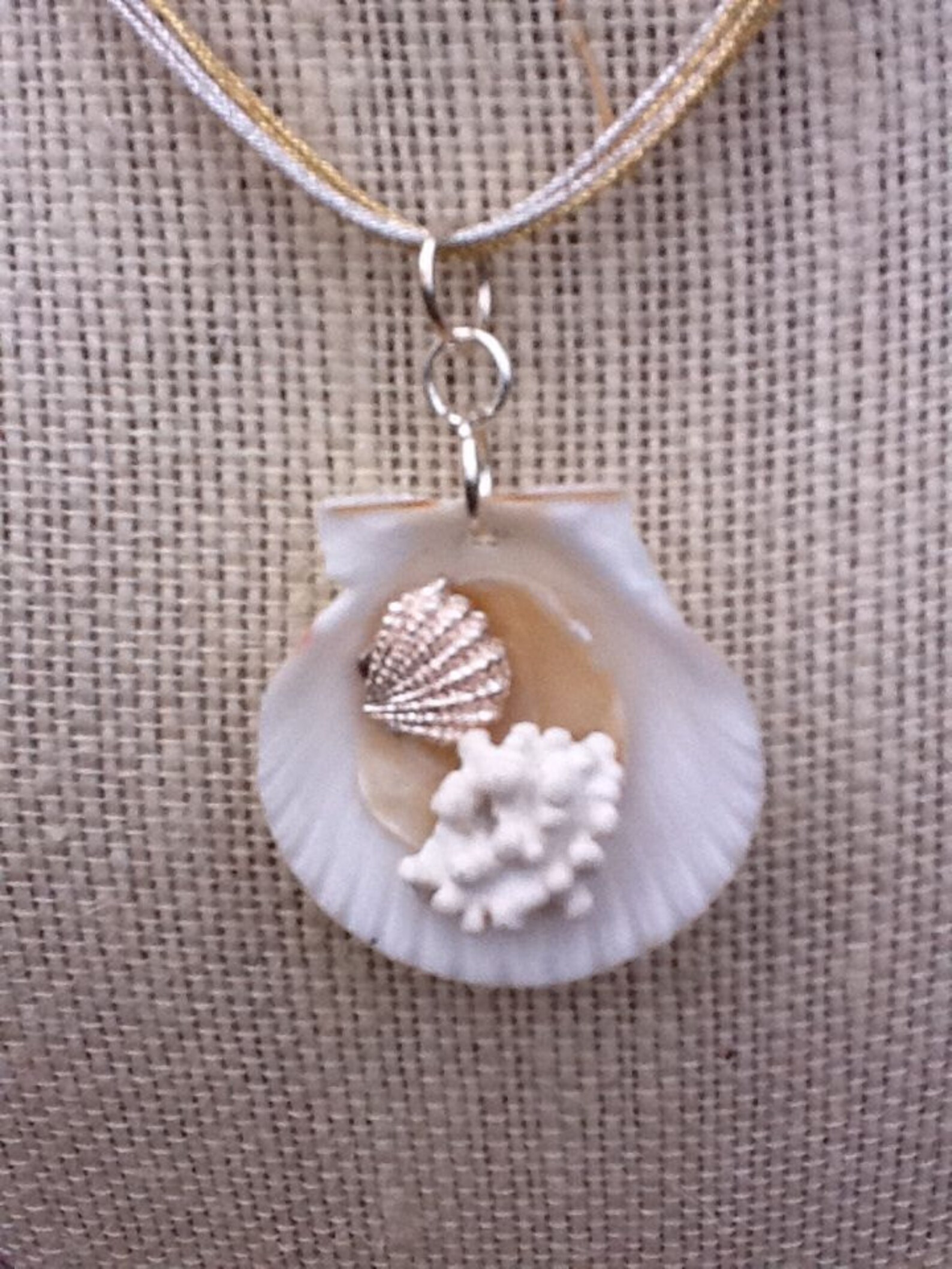 Very Pretty Sanibel Island shell necklace seashell coral Etsy