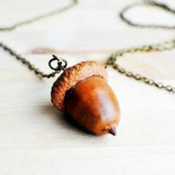 Peter Pan Acorn Thimble Kiss Necklace, Natural Acorn from English Woods, Forest Woodland Animal Squirrel Nature Inspired Vegan Jewellery