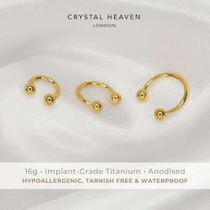 Plain Circular Barbell | 16g | Certified ASTM F136 Titanium | 6mm/8mm/10mm | Hypoallergenic, Waterproof, Nickel Free | Internally Threaded