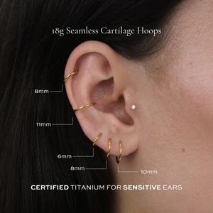 18g Seamless Cartilage Piercing Hoop | Certified ASTM F136 Titanium | Hypoallergenic, Waterproof, Nickel Free