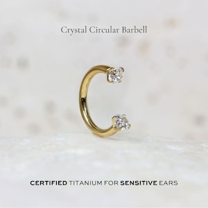 Crystal Circular Barbell | 16g | Certified ASTM F136 Titanium | 8mm or 10mm | Hypoallergenic, Waterproof, Nickel Free | Internally Threaded
