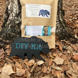 Northern Lights Bear Glass Mosaic Kit - DIY- Make it yourself- Do it yourself