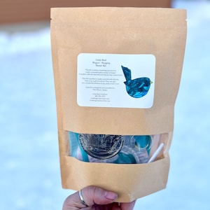 May include: A brown paper bag with a clear window showing a mosaic kit for a hanging bird. The kit includes glass tiles, a wooden base, and instructions. The label on the bag reads "Little Bird Magnet/Hanging Mosaic Kit".