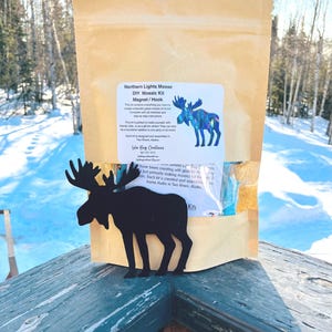 Northern Lights Moose Magnet/ Hanging Glass Mosaic Kit - DIY- Make it yourself