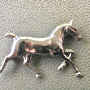 Sterling Horse, Equine, Pin, Brooch, Horse Lovers, Gift Idea, Beautiful Piece, FREE SHIPPING
