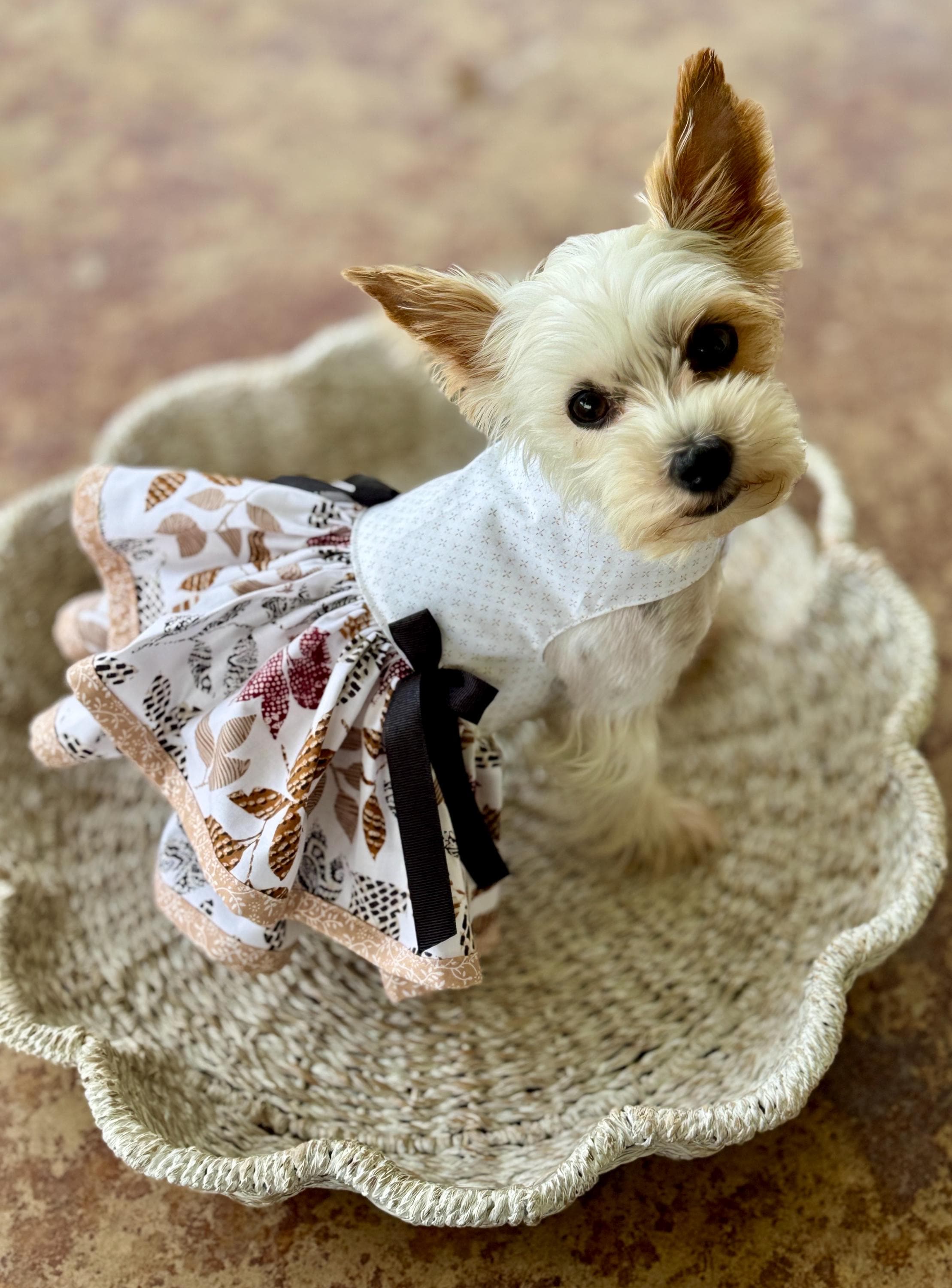 Louis Vuitton Dog Bandana - Etsy