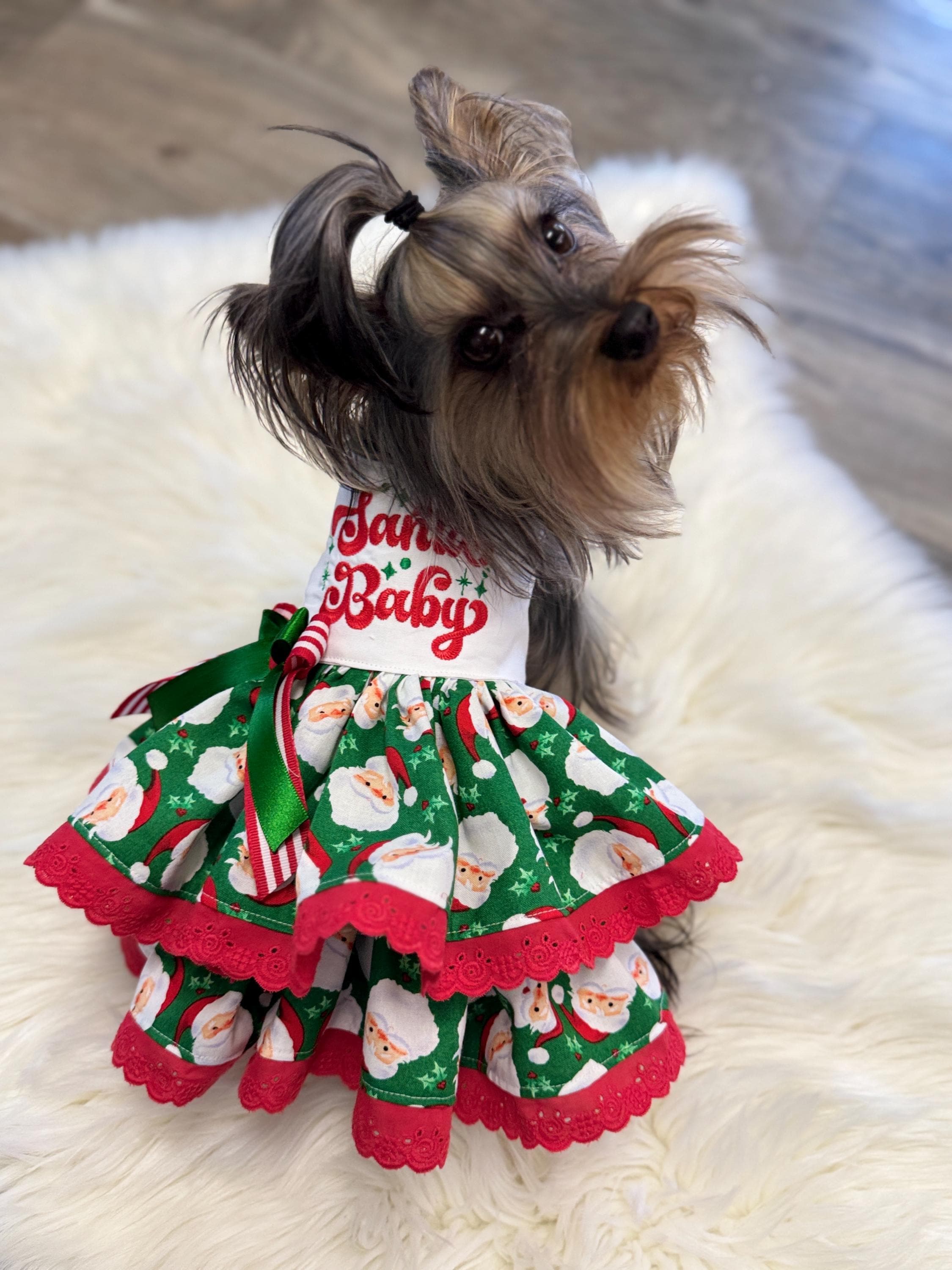 Santa Dog Dress