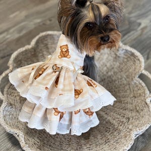 May include: A dog harness dress featuring a beige and white checkered pattern with brown teddy bear illustrations. The garment has two ruffled tiers with white eyelet lace trim along the edges and a metal D-ring attached at the waist area.