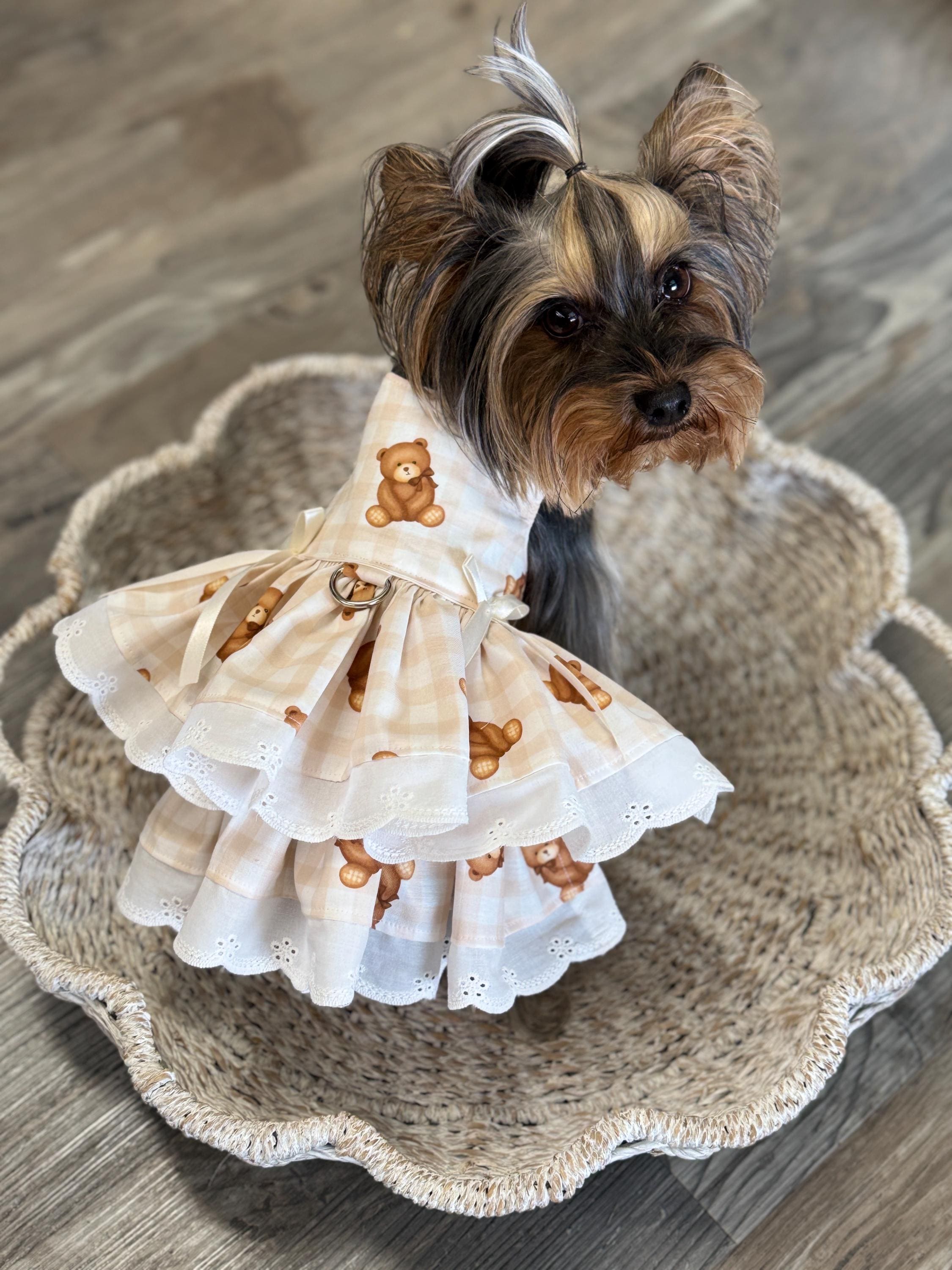 brown dog dress Court Train