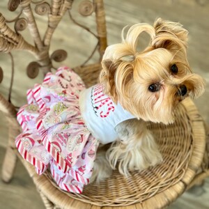 May include: A small dog wearing a white shirt with the word "WINTER" in red script and a pink and red patterned dress. The dog is sitting on a wicker chair.