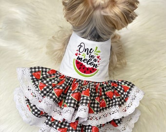 One in a Melon Watermelon Gingham black and red Crocheted Lace Dog Dress, Customizable to your pets measurements!! Size XXS XS and Small