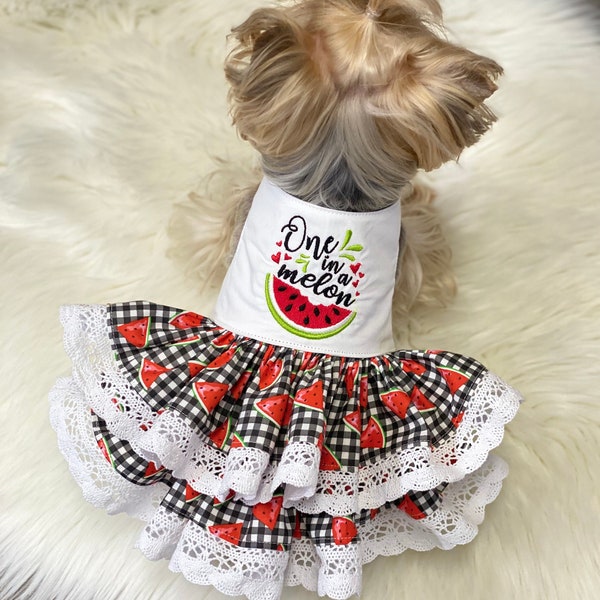 One in a Melon Watermelon Gingham black and red Crocheted Lace Dog Dress, Customizable to your pets measurements!! Size XXS XS and Small