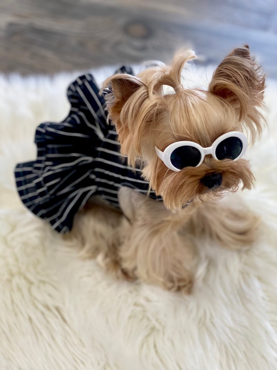 Simple dog clothes top